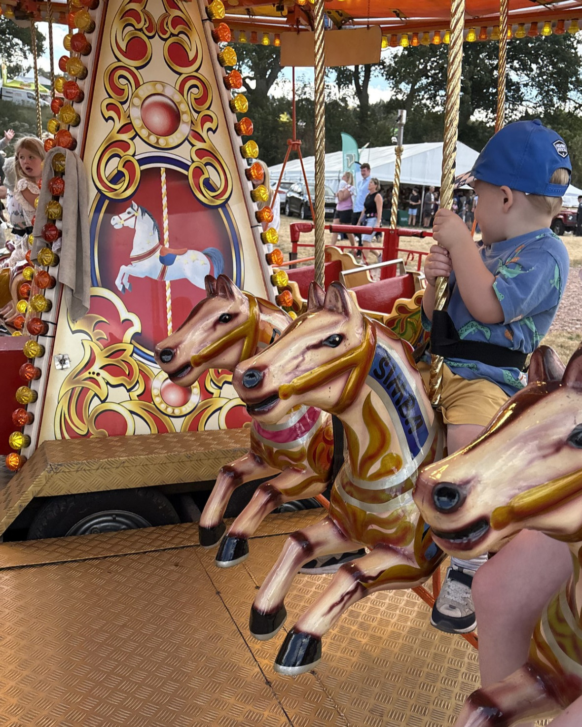 A child in a blue hat and t-shirt faces away from the camera as he rides a horse on a merry go round